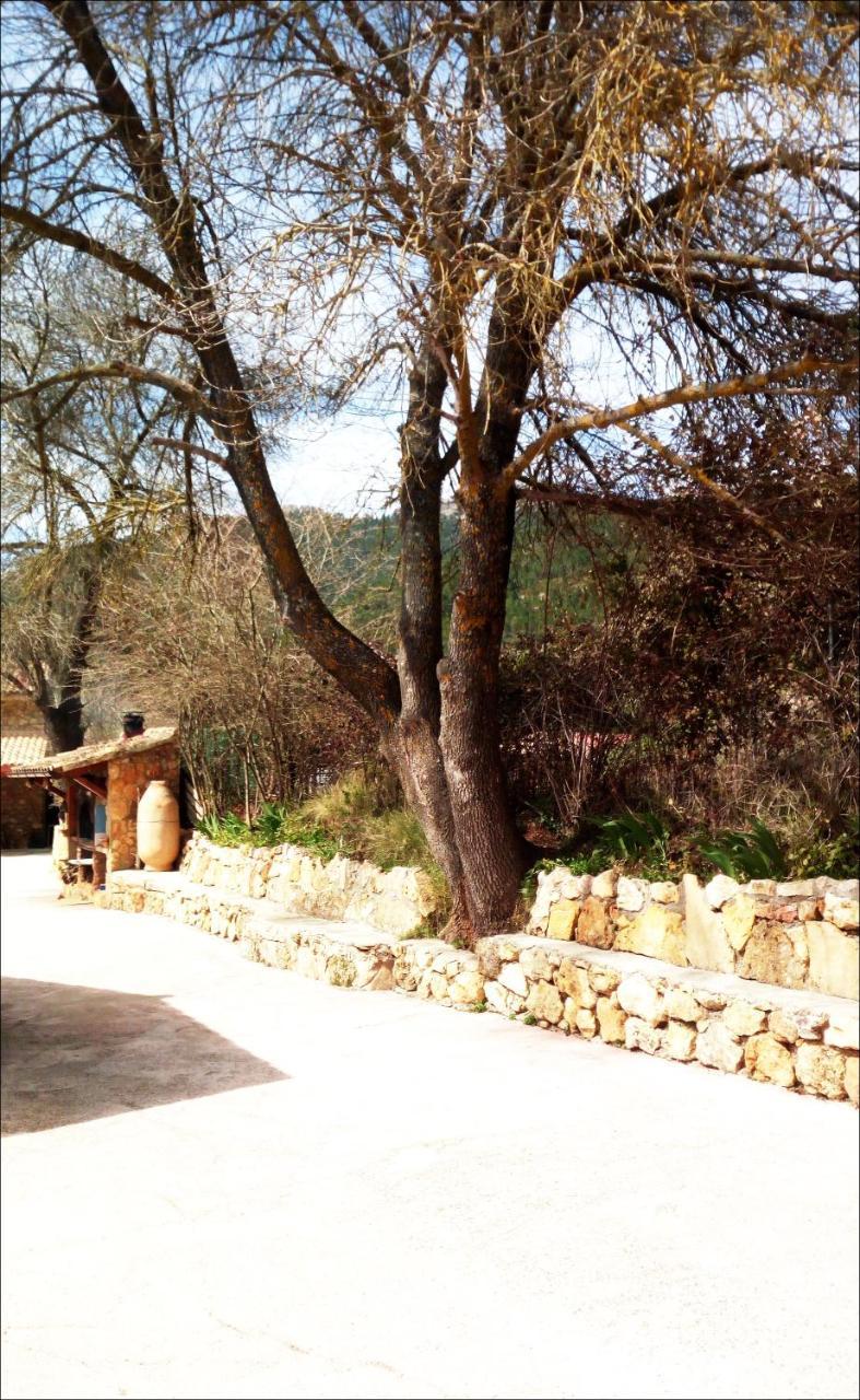 Casas Rurales Picos Del Oso Riópar Exterior foto