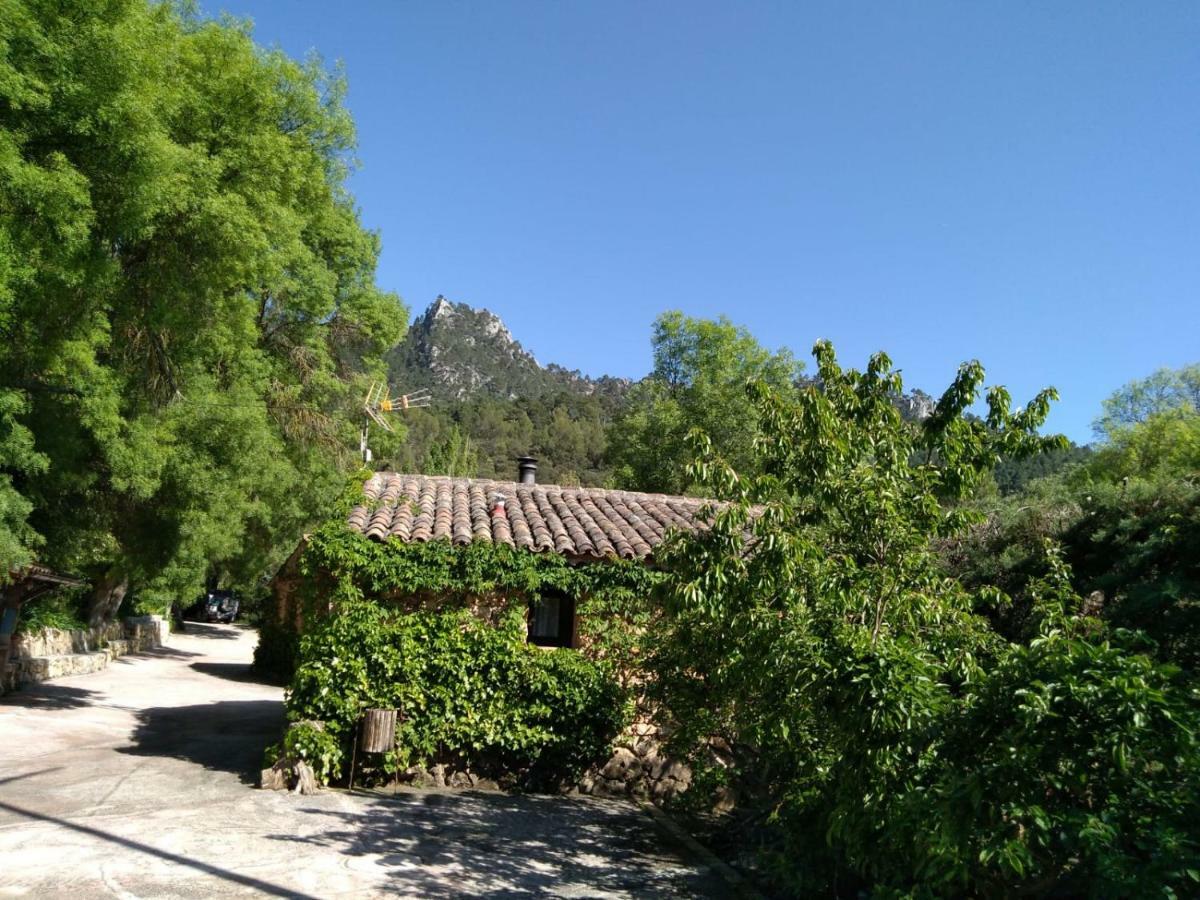 Casas Rurales Picos Del Oso Riópar Exterior foto